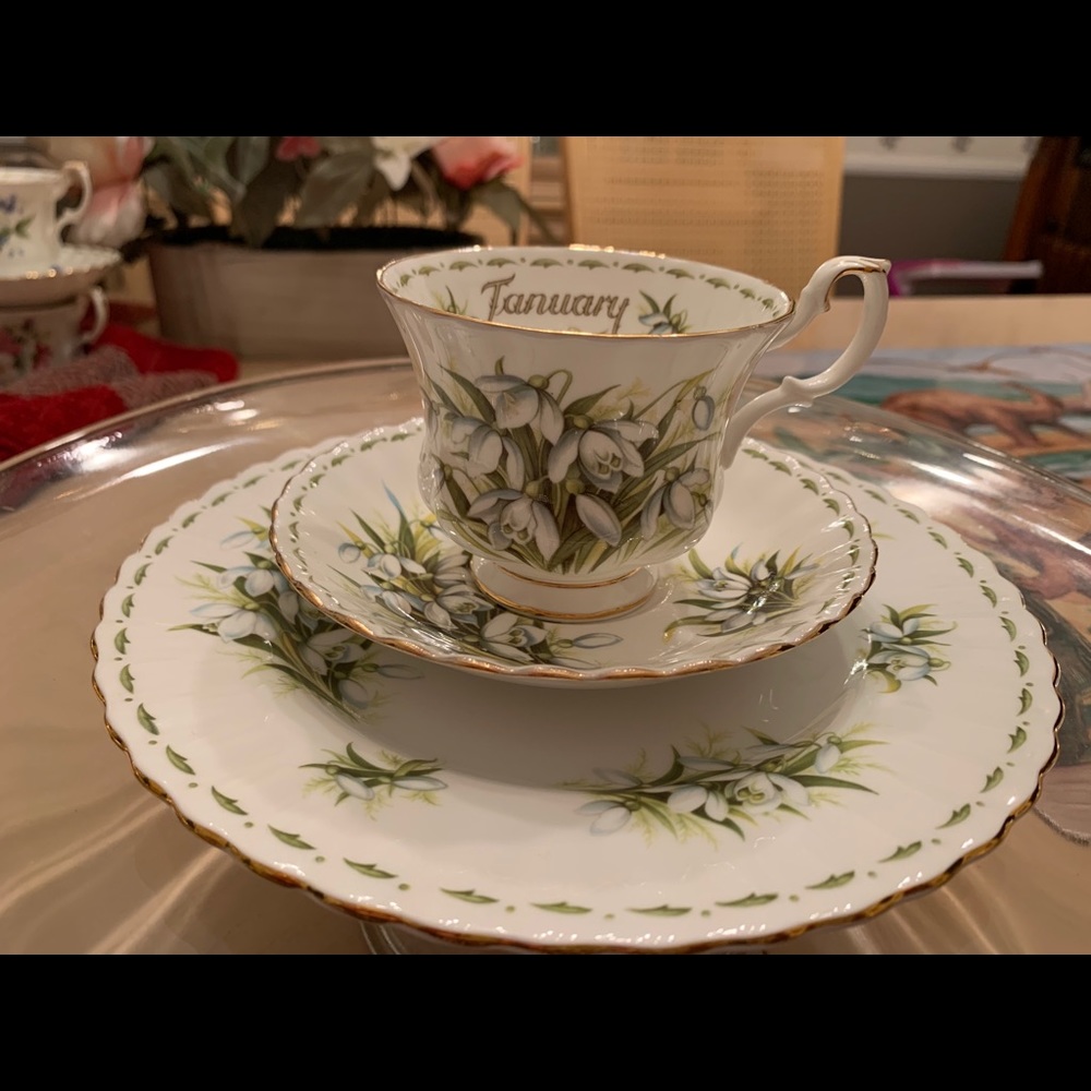 Royal Albert Flower of the Month Series ”January “